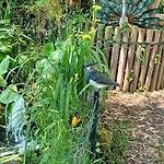 La Pause Cauchoise Séjour chez l'habitant