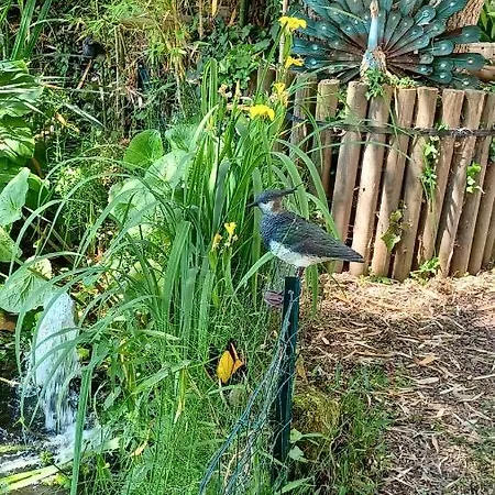 La Pause Cauchoise 民宿