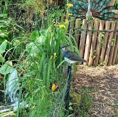 La Pause Cauchoise Homestay